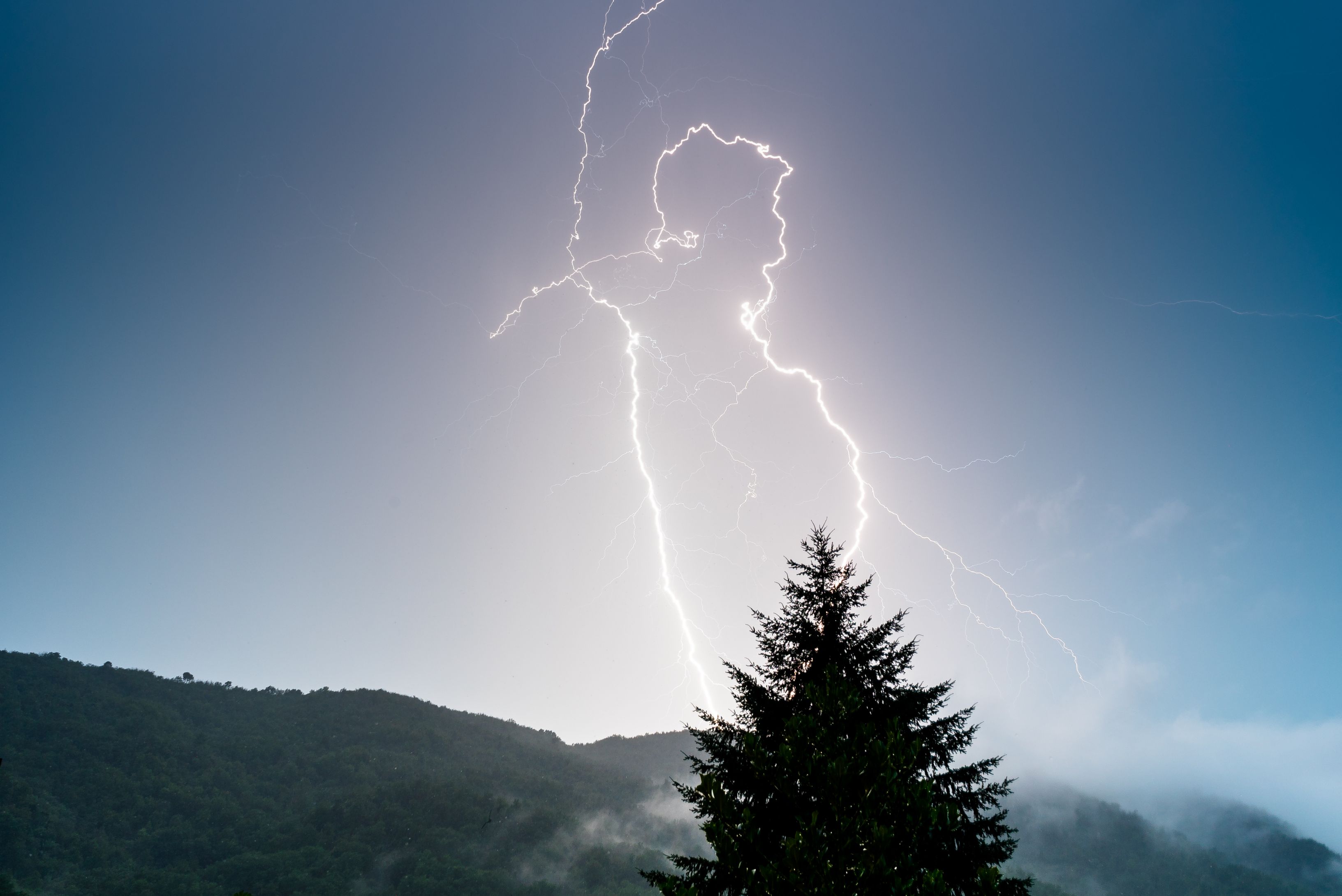 Opportunity to serve you